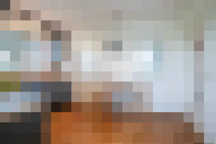 Bereklauw 33 Herkenbosch thumbnail 10