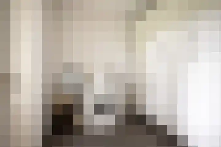 Bereklauw 33 Herkenbosch thumbnail 11
