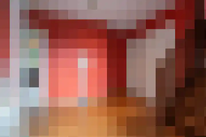 Bereklauw 33 Herkenbosch thumbnail 15