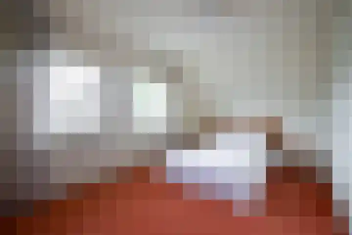 Bereklauw 33 Herkenbosch thumbnail 17