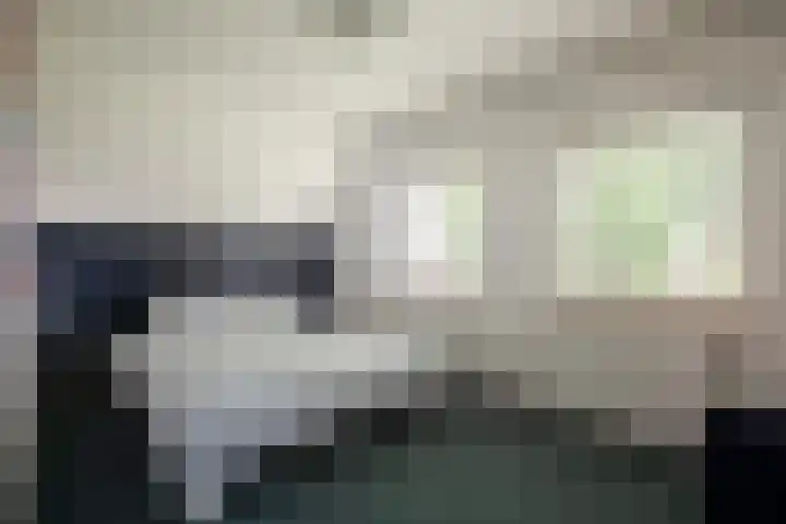 Bereklauw 33 Herkenbosch thumbnail 19