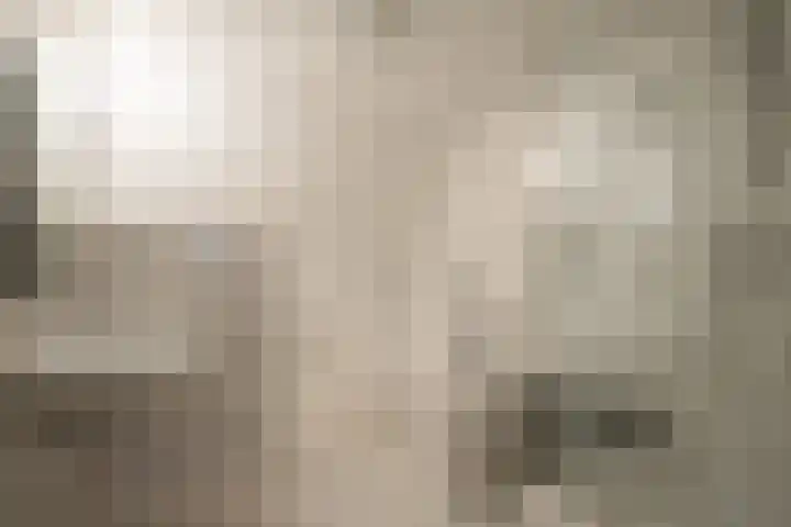 Bereklauw 33 Herkenbosch thumbnail 22