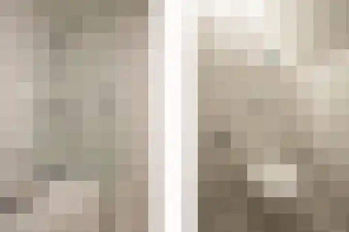Bereklauw 33 Herkenbosch thumbnail 23