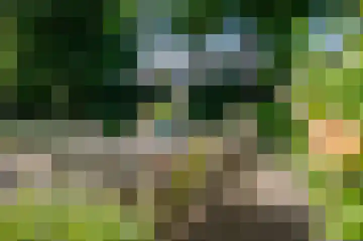 Bereklauw 33 Herkenbosch thumbnail 24