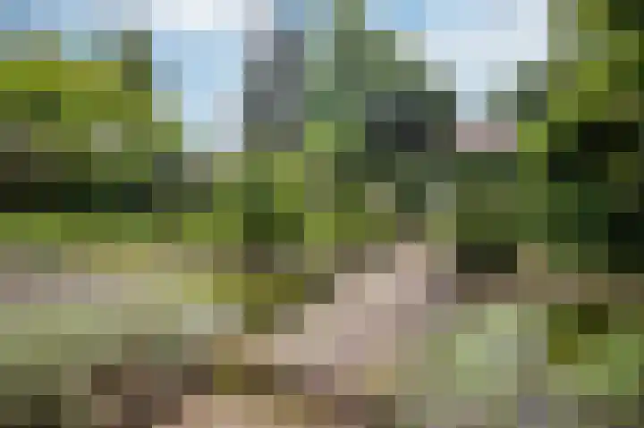 Bereklauw 33 Herkenbosch thumbnail 25