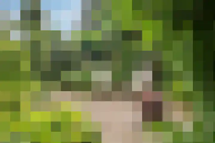 Bereklauw 33 Herkenbosch thumbnail 27