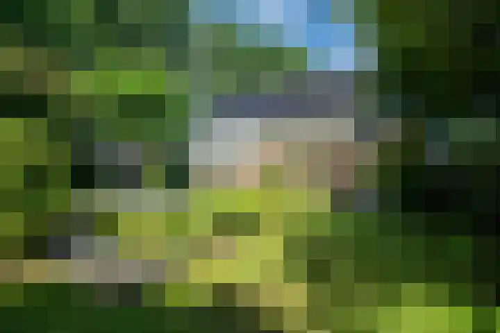 Bereklauw 33 Herkenbosch thumbnail 28