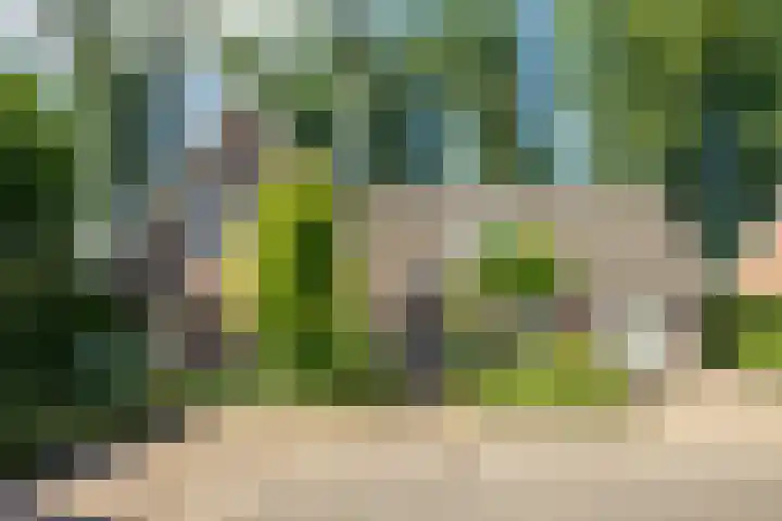 Bereklauw 33 Herkenbosch thumbnail 29