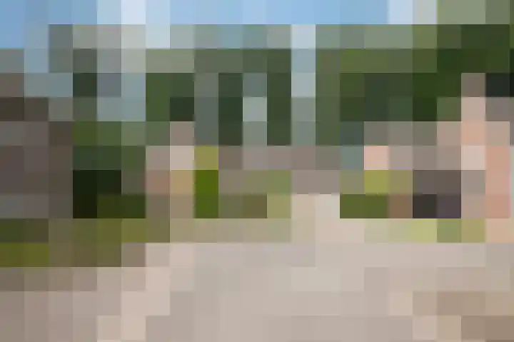 Bereklauw 33 Herkenbosch thumbnail 30
