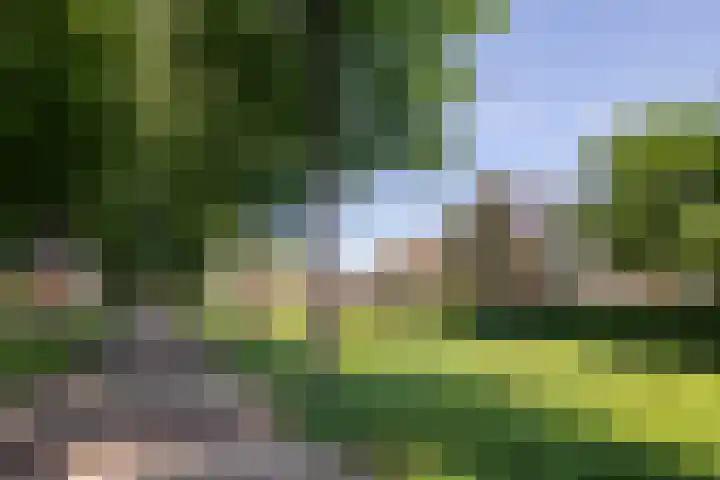 Bereklauw 33 Herkenbosch thumbnail 32