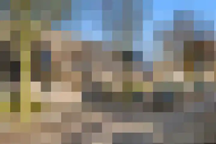 Bereklauw 34 Bennekom thumbnail 5