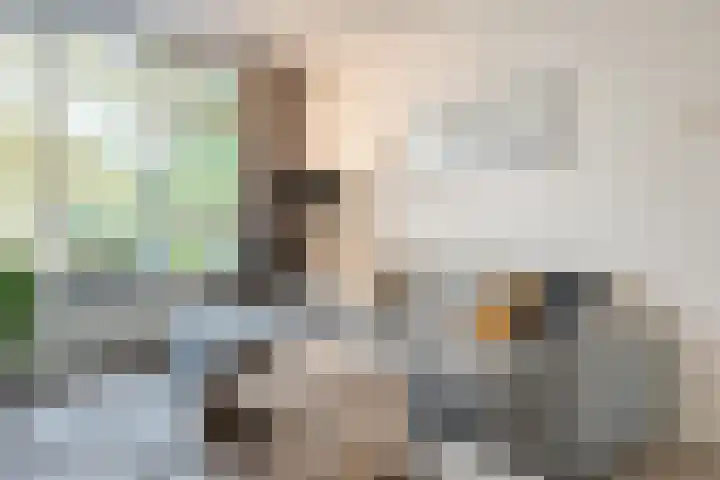 Bereklauw 36 Cuijk thumbnail 10