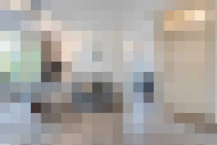 Bereklauw 36 Cuijk thumbnail 11