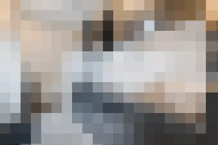 Bereklauw 36 Cuijk thumbnail 15