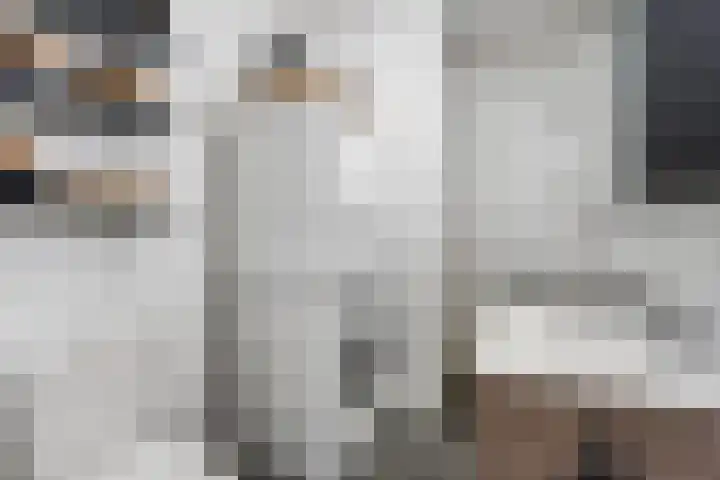 Bereklauw 36 Cuijk thumbnail 18
