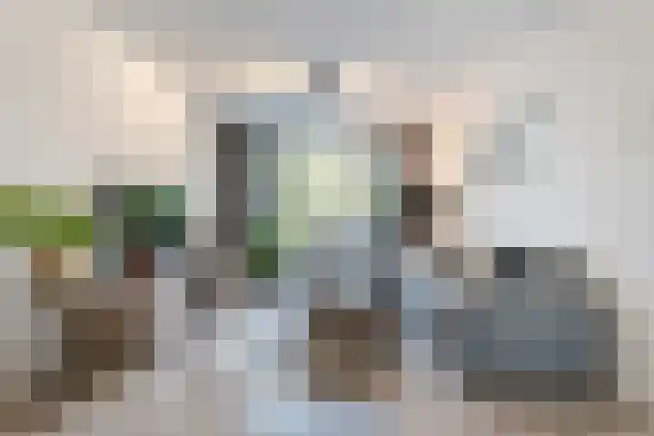 Bereklauw 36 Cuijk foto 2
