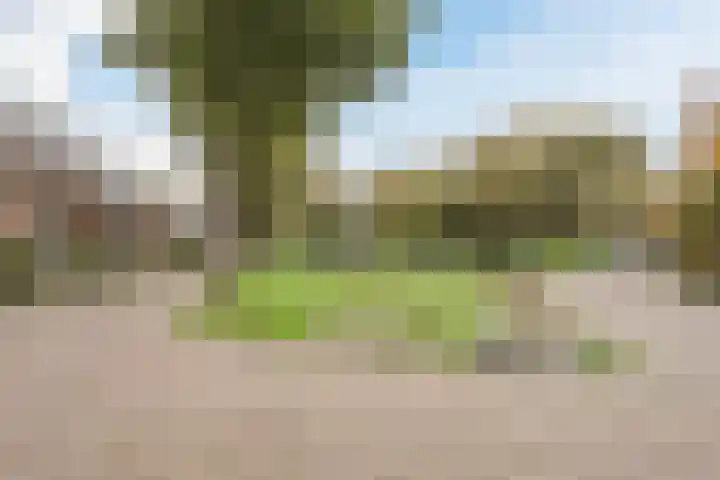 Bereklauw 36 Cuijk thumbnail 21