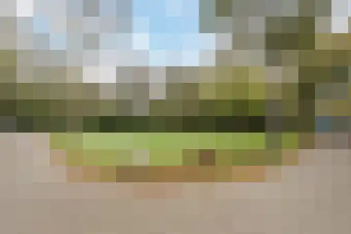 Bereklauw 36 Cuijk thumbnail 22