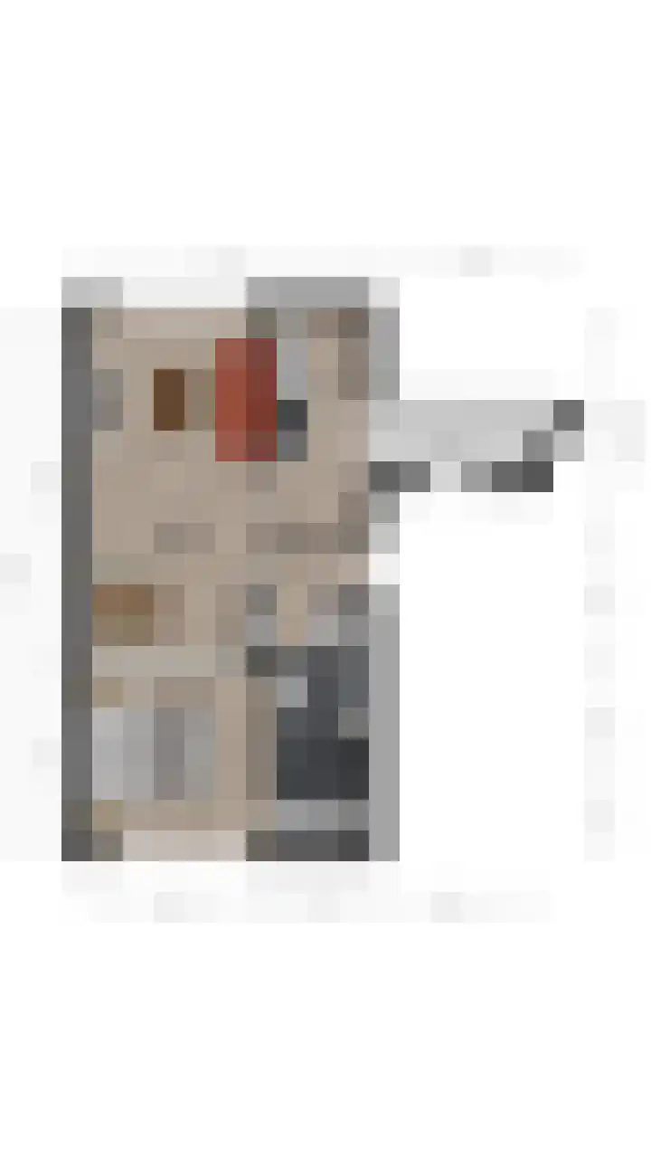 Bereklauw 36 Cuijk thumbnail 23