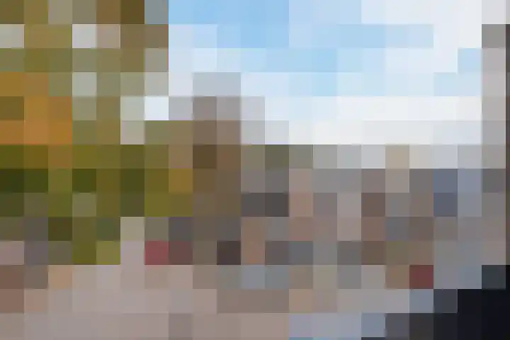 Bereklauw 36 Cuijk thumbnail 4