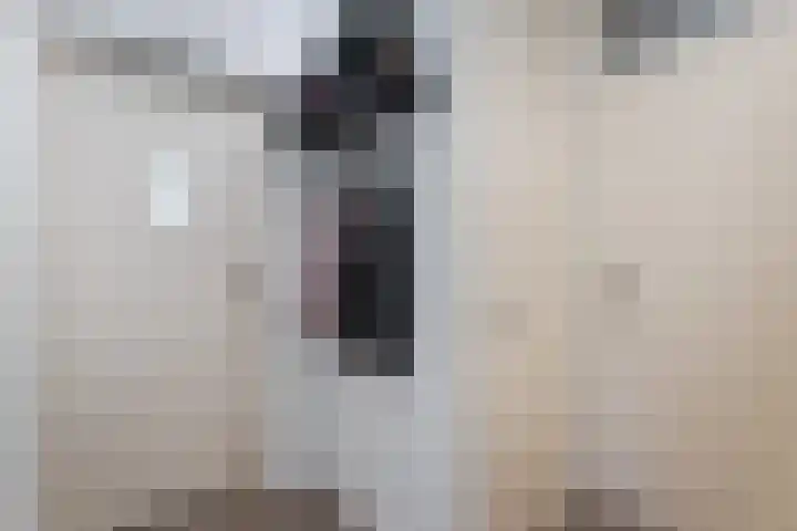 Bereklauw 36 Cuijk thumbnail 9