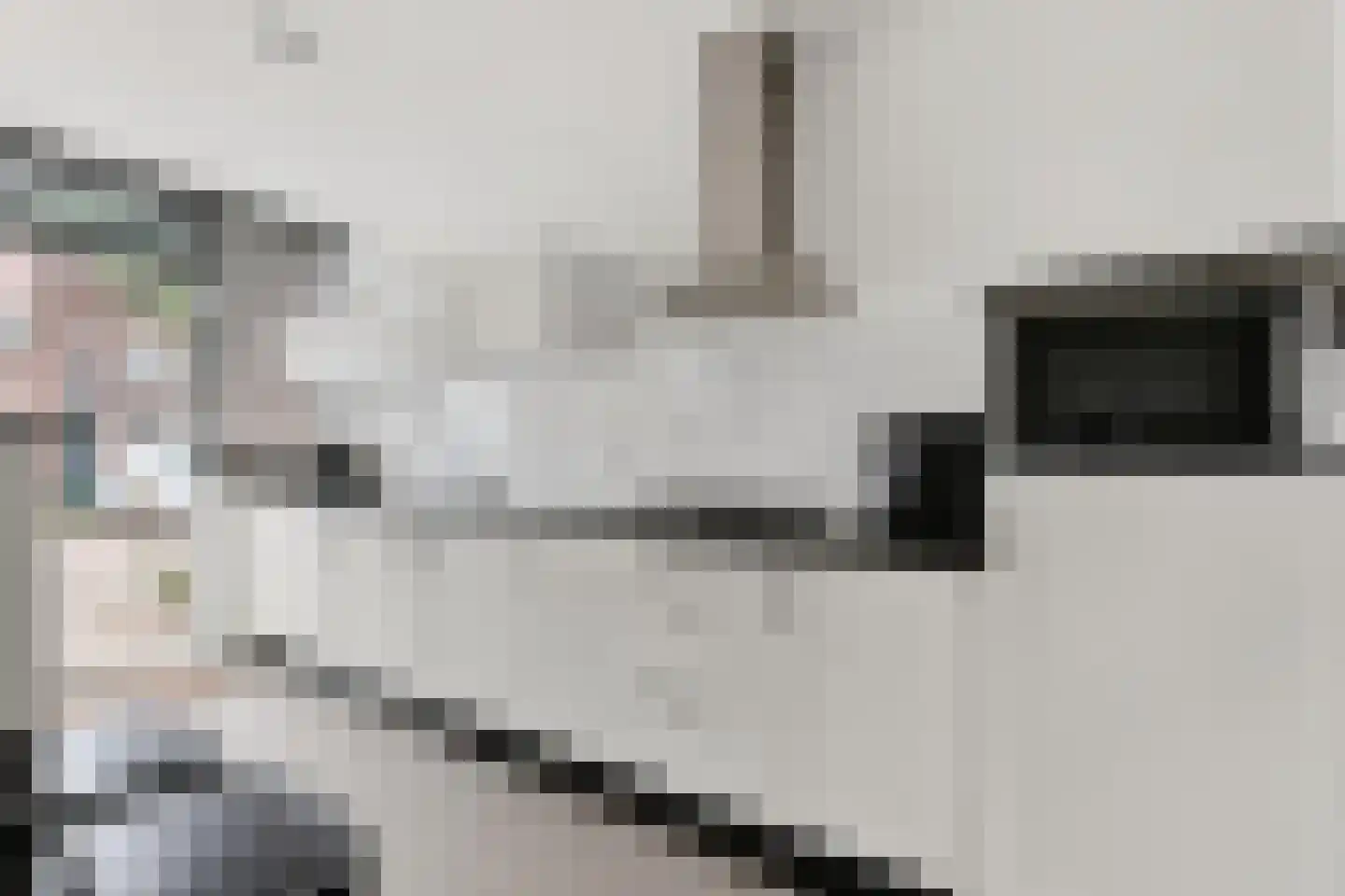 Bereklauw 41 Cuijk thumbnail 11
