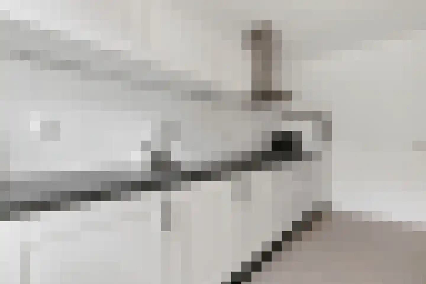 Bereklauw 41 Cuijk thumbnail 12