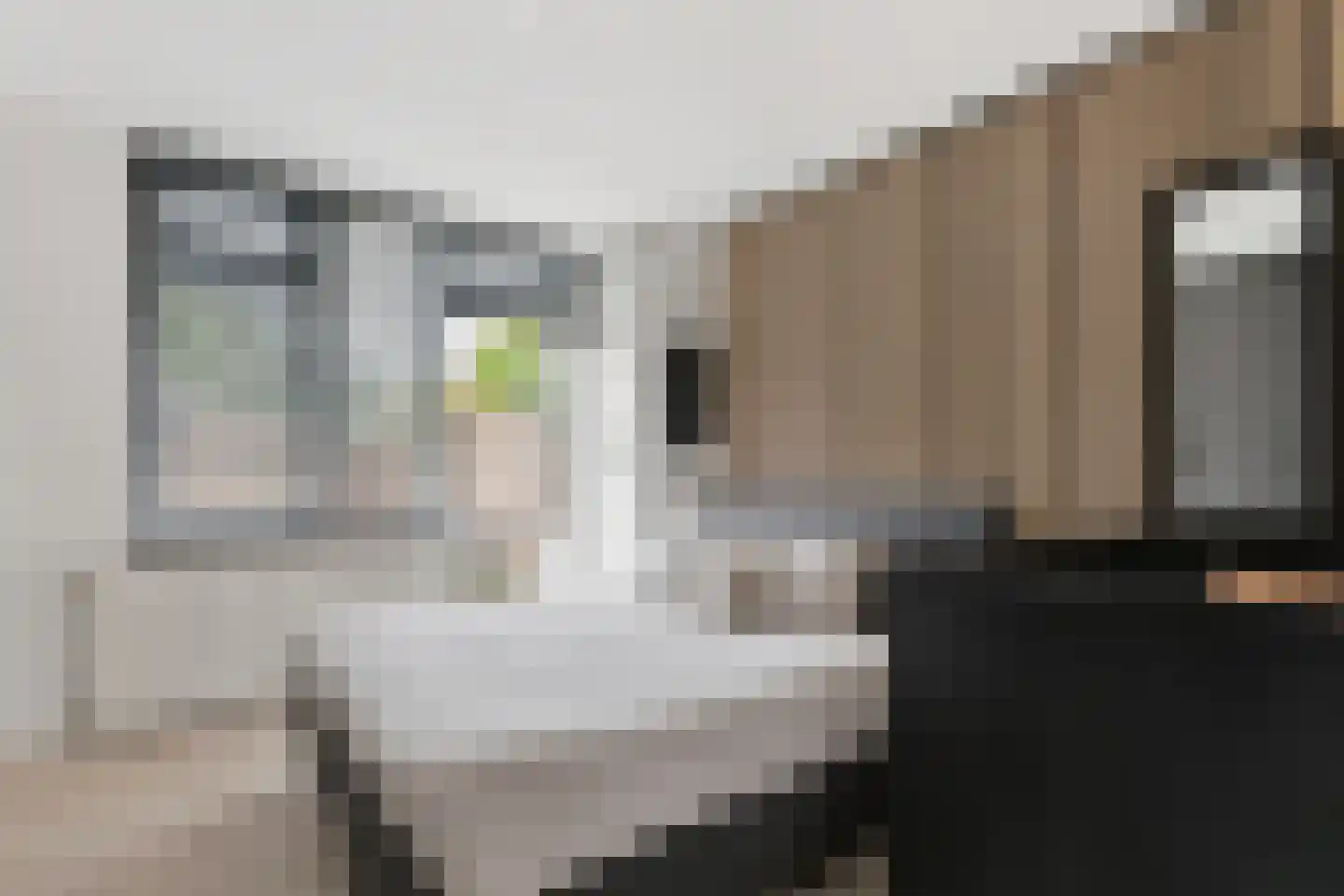 Bereklauw 41 Cuijk thumbnail 13