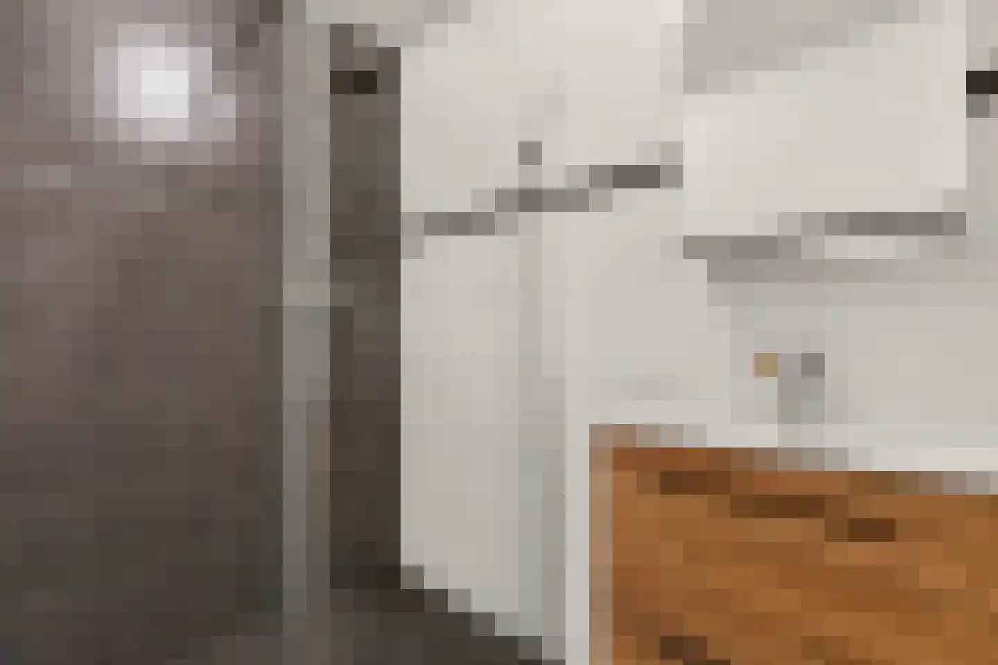 Bereklauw 41 Cuijk thumbnail 15