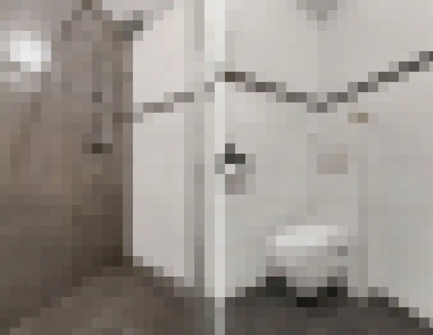 Bereklauw 41 Cuijk thumbnail 17