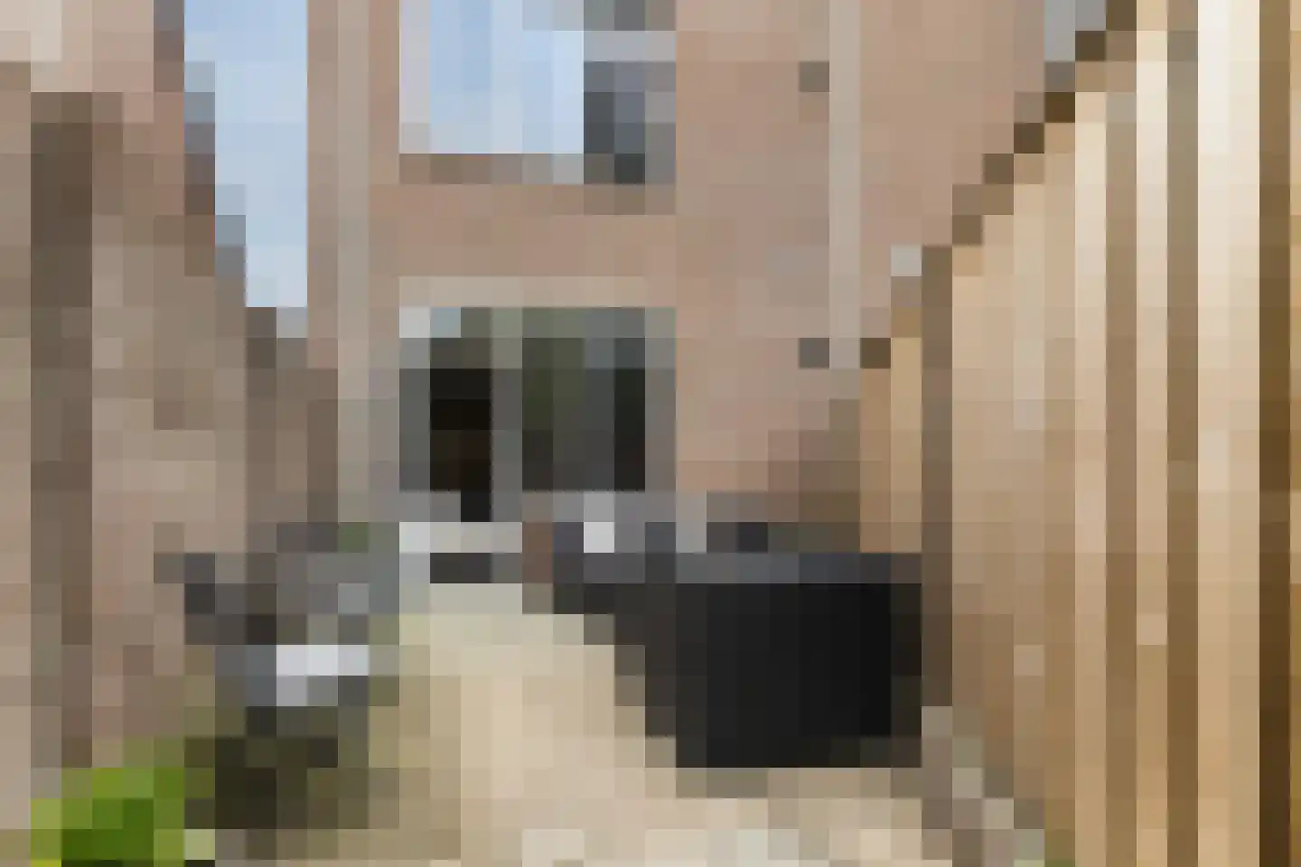 Bereklauw 41 Cuijk thumbnail 18