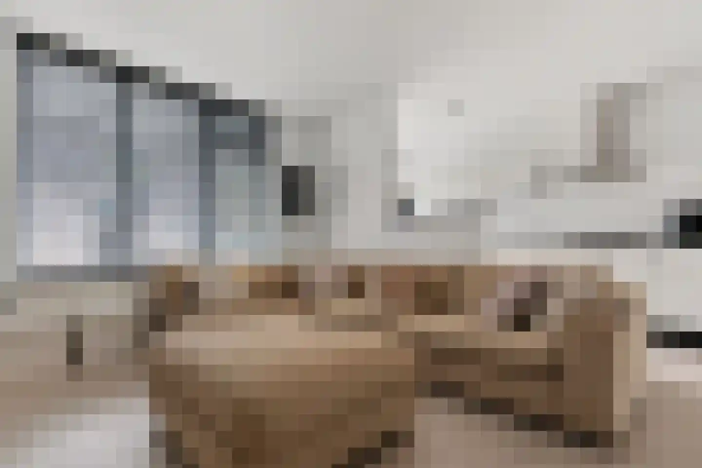 Bereklauw 41 Cuijk thumbnail 4