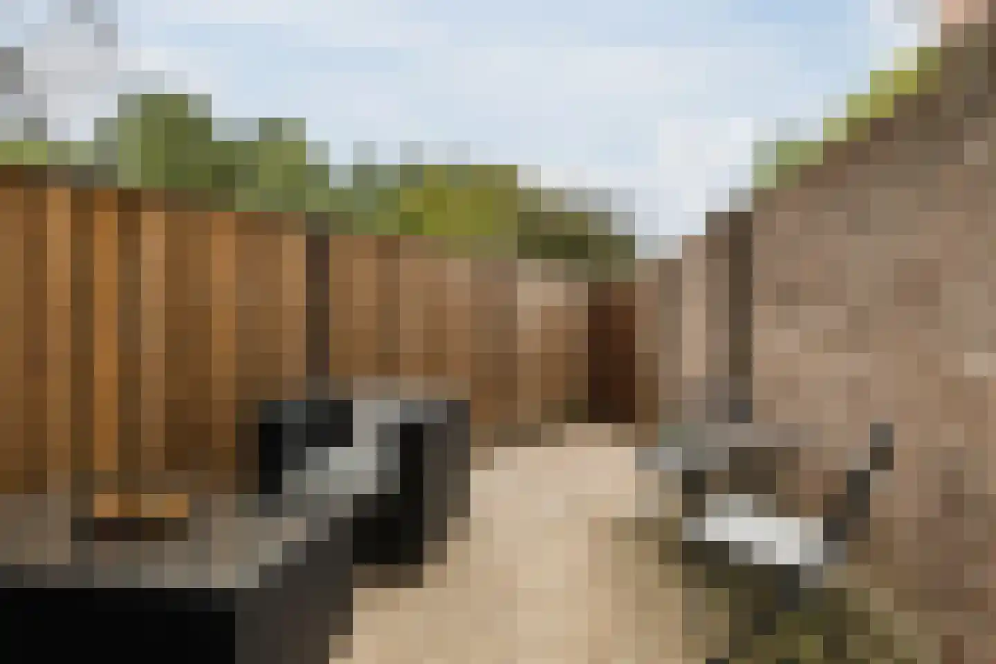 Bereklauw 41 Cuijk thumbnail 5