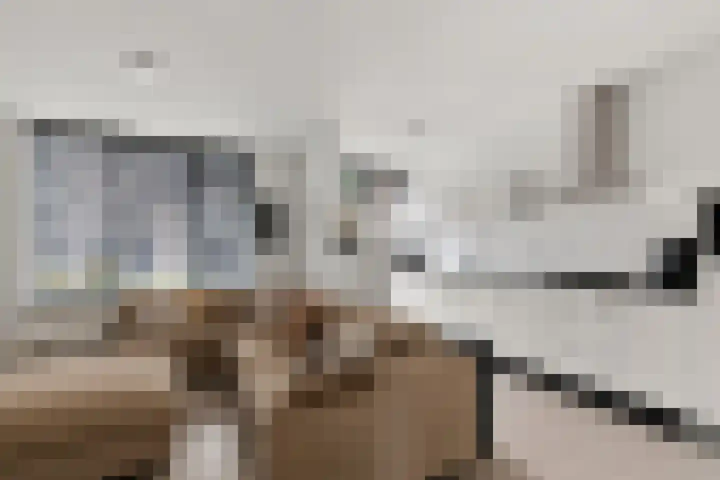 Bereklauw 41 Cuijk thumbnail 7