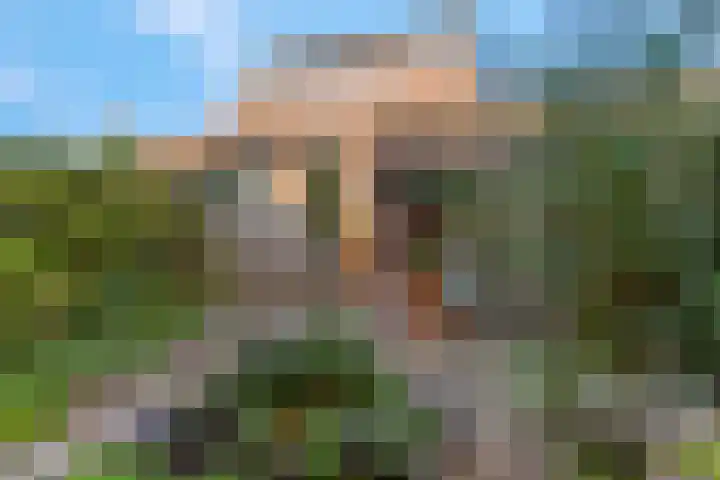 Bereklauw 48 Bennekom thumbnail 35