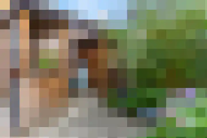 Bereklauw 48 Bennekom thumbnail 37