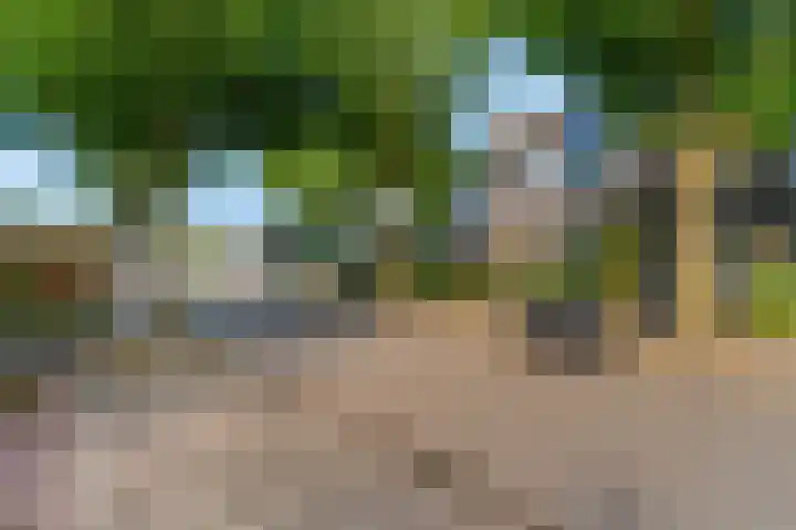 Bereklauw 48 Bennekom thumbnail 39