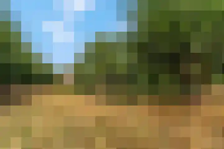 Bereklauw 48 Bennekom thumbnail 40