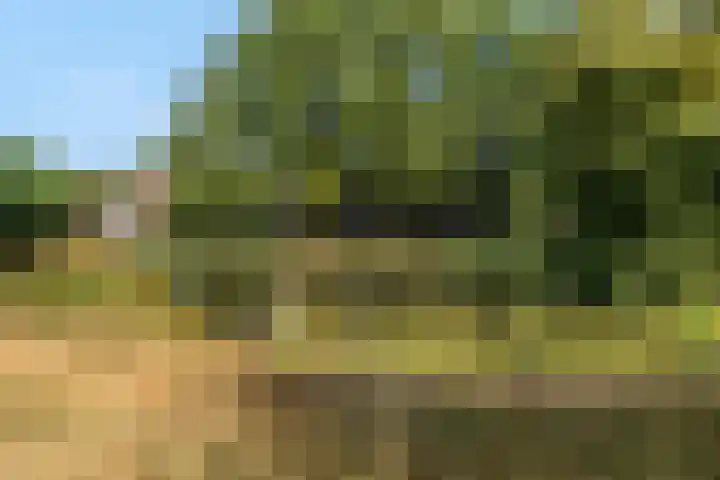 Bereklauw 48 Bennekom thumbnail 41