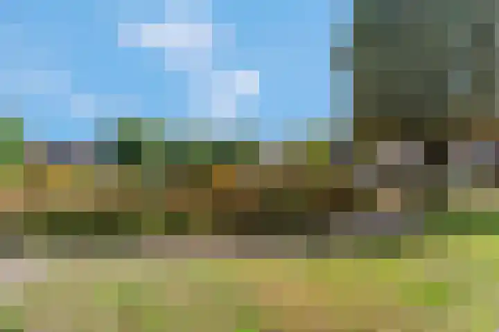 Bereklauw 48 Bennekom thumbnail 42