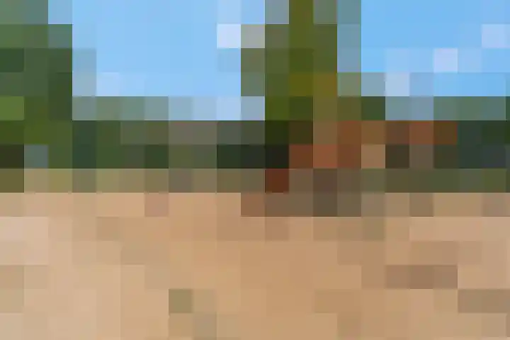 Bereklauw 48 Bennekom thumbnail 43