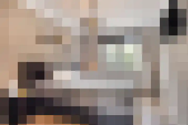 Bereklauw 48 Klazienaveen thumbnail 11