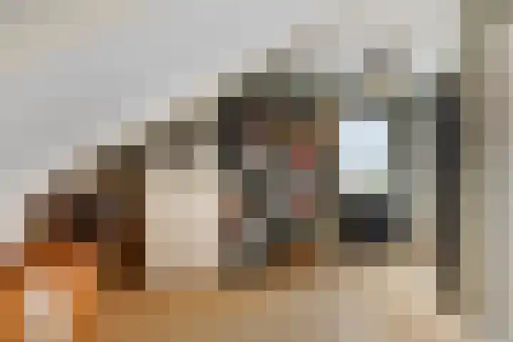 Bereklauw 48 Klazienaveen thumbnail 17