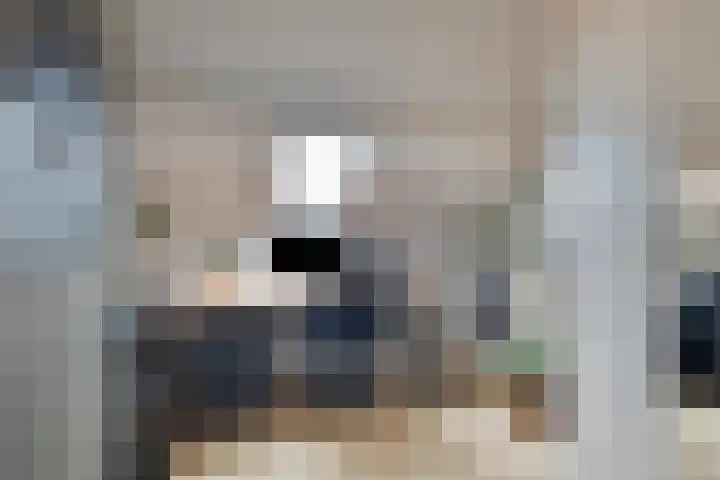 Bereklauw 48 Klazienaveen thumbnail 18