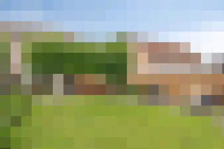 Bereklauw 48 Klazienaveen thumbnail 19