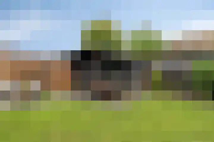 Bereklauw 48 Klazienaveen thumbnail 20