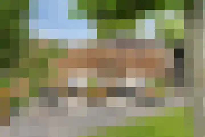 Bereklauw 48 Klazienaveen thumbnail 21