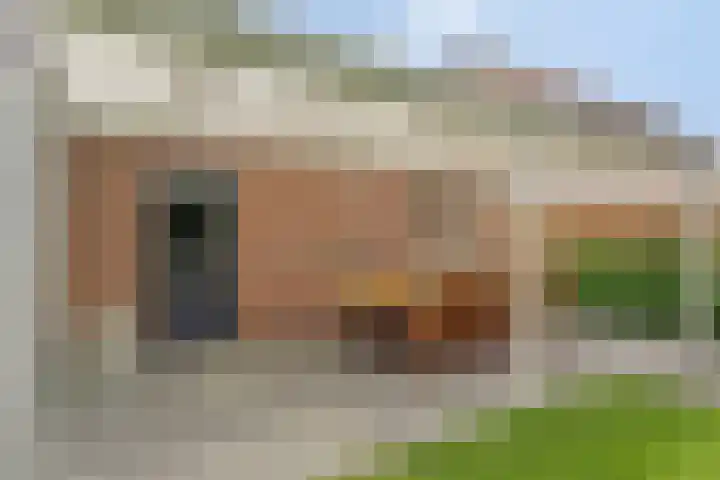 Bereklauw 48 Klazienaveen thumbnail 22