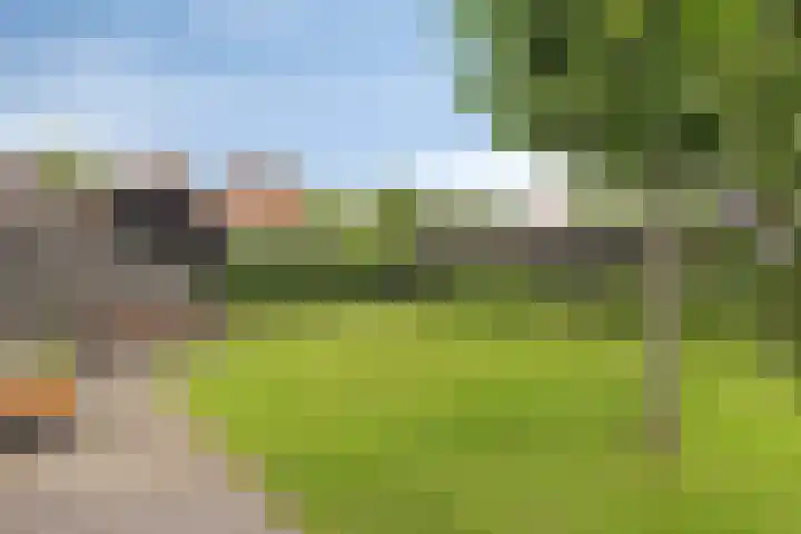 Bereklauw 48 Klazienaveen thumbnail 23