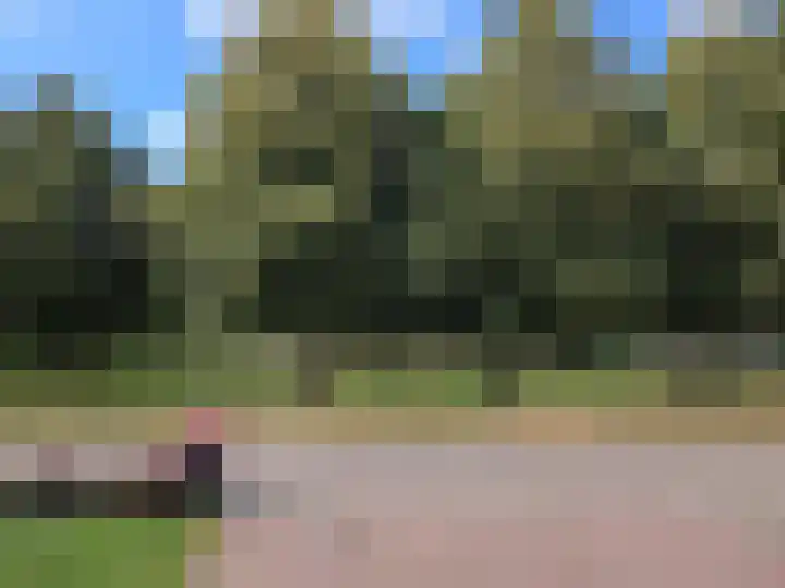 Bereklauw 48 Klazienaveen thumbnail 24